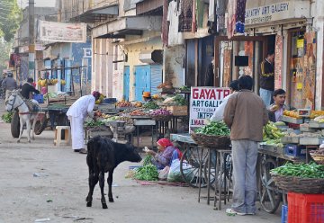 Mandawa shopping street