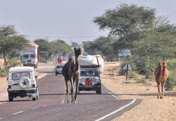 Right of way? what's that?