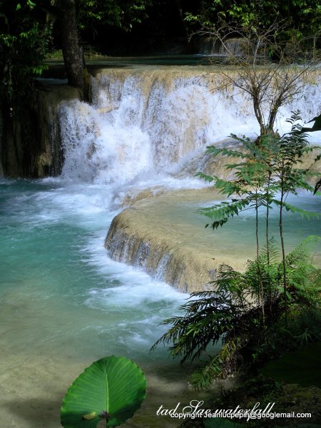 DSCN1404.jpg - Tadsae waterfall  