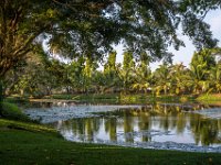 Bentota - pond
