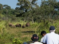 Minneriya National Park