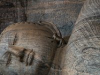 Monkey on Buddha's face
