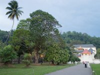 approaching the Palace
