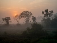 sunrise train journey to Habarana