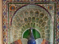 Peacock inside glass window